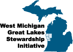 GLSI Logo