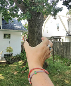 A photo that looks like a huge hand is holding a tree trunk