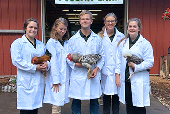 Students holding their chickens at the fair