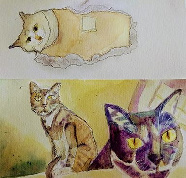 Watercolor paintings of cats