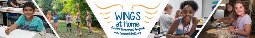 Wings At Home banner